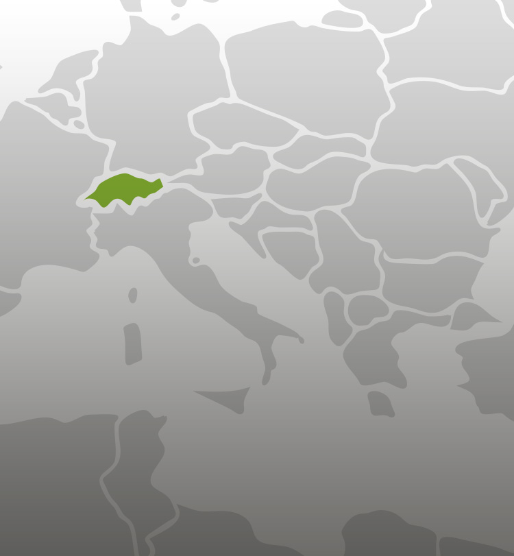 Individuelle Lösung zur Potenzialanalyse im mittleren Management eines mittelständischen Unternehmens, Schweiz
