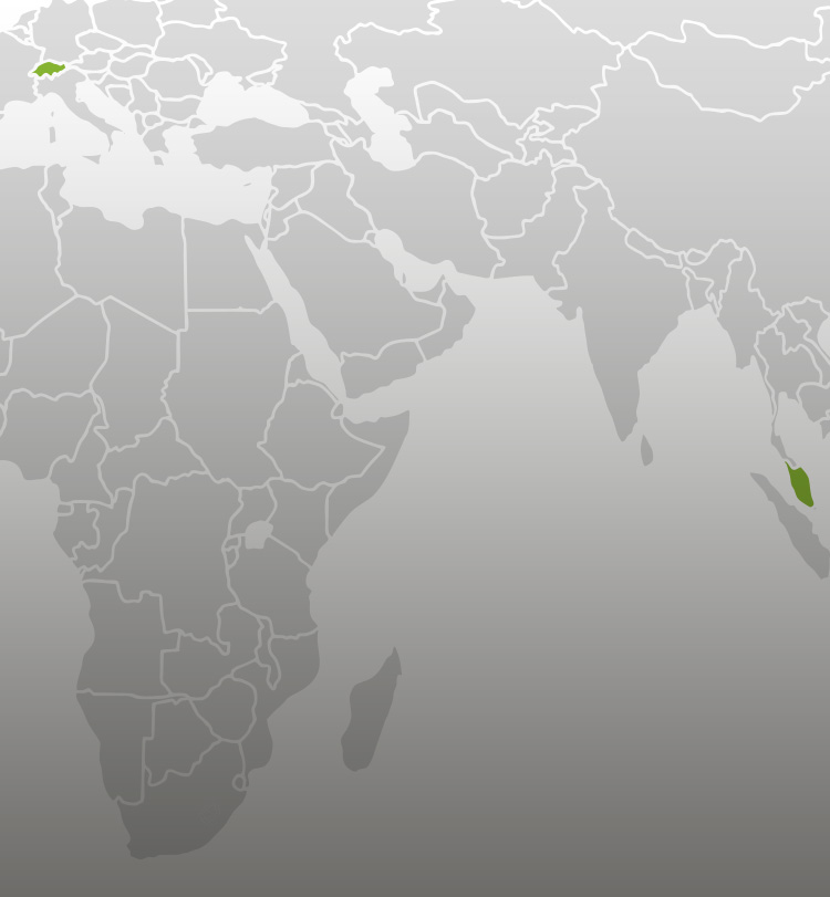 Internationale Management Assessments, Singapur, Schweiz