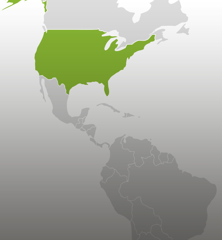 Recruiting System für eine Krankenhauskette, USA