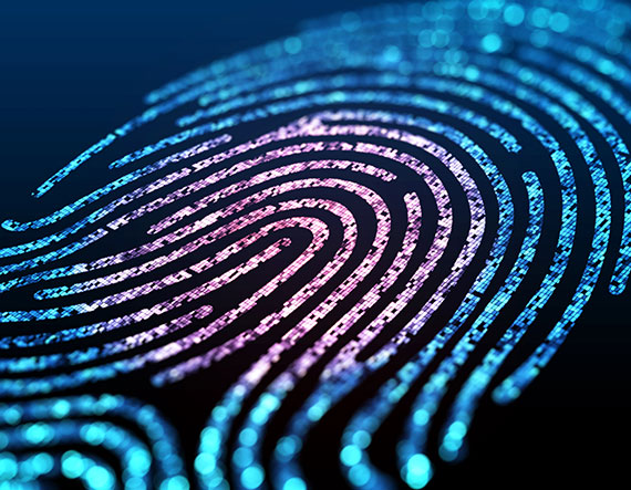 Big Data in der Personalauswahl – wertvolle Information oder nutzlos?