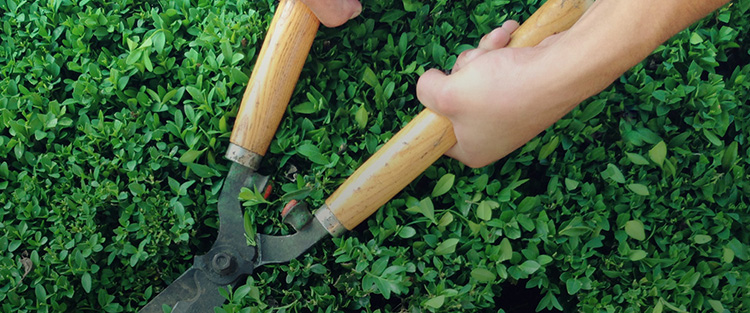 The work council gives a green light: HR test procedures accordant to DIN standard 33430