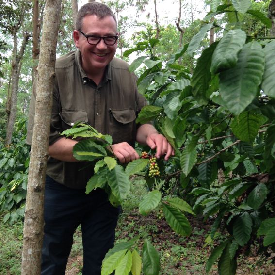 Mann pflückt Beeren